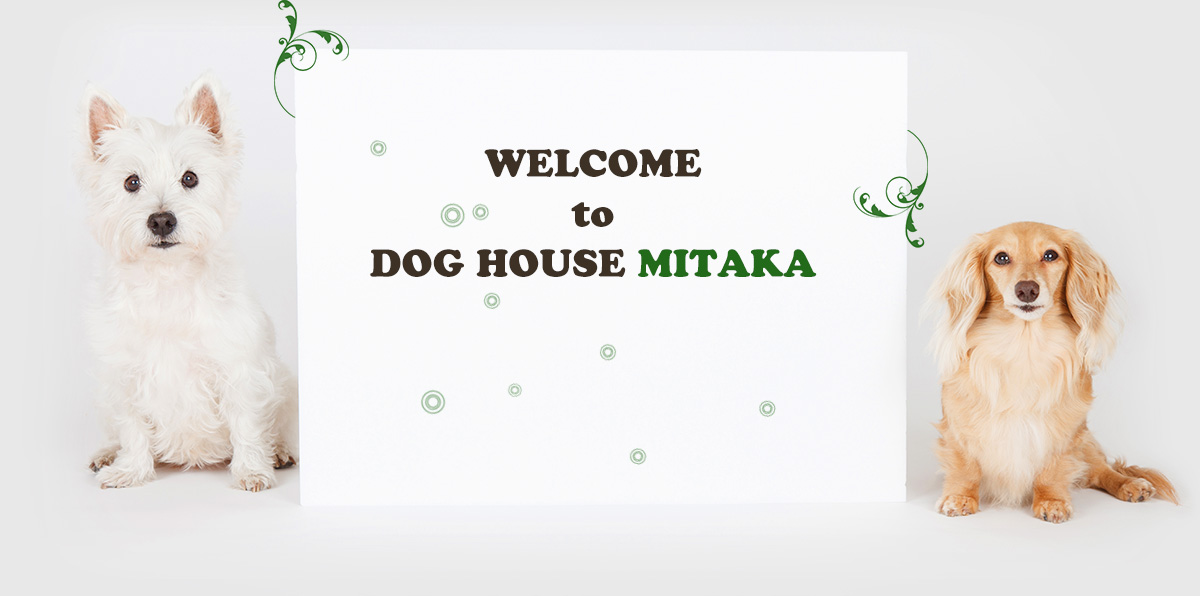 WELCOME to DOG HOUSE MITAKA
